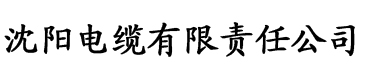 91香蕉视频网站在线电缆厂logo